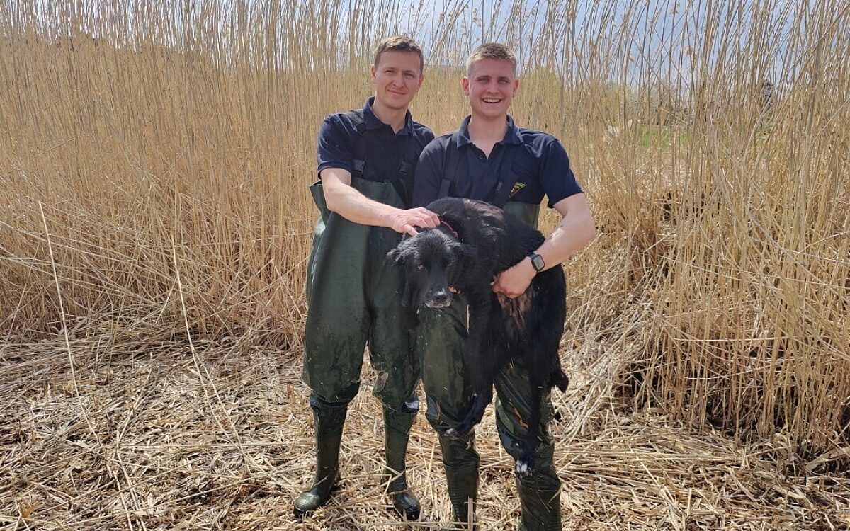Huendin Emma wird von zwei Feuerwehrmaennern gerettet Huendin Emma wird von zwei Feuerwehrmaennern gerettet