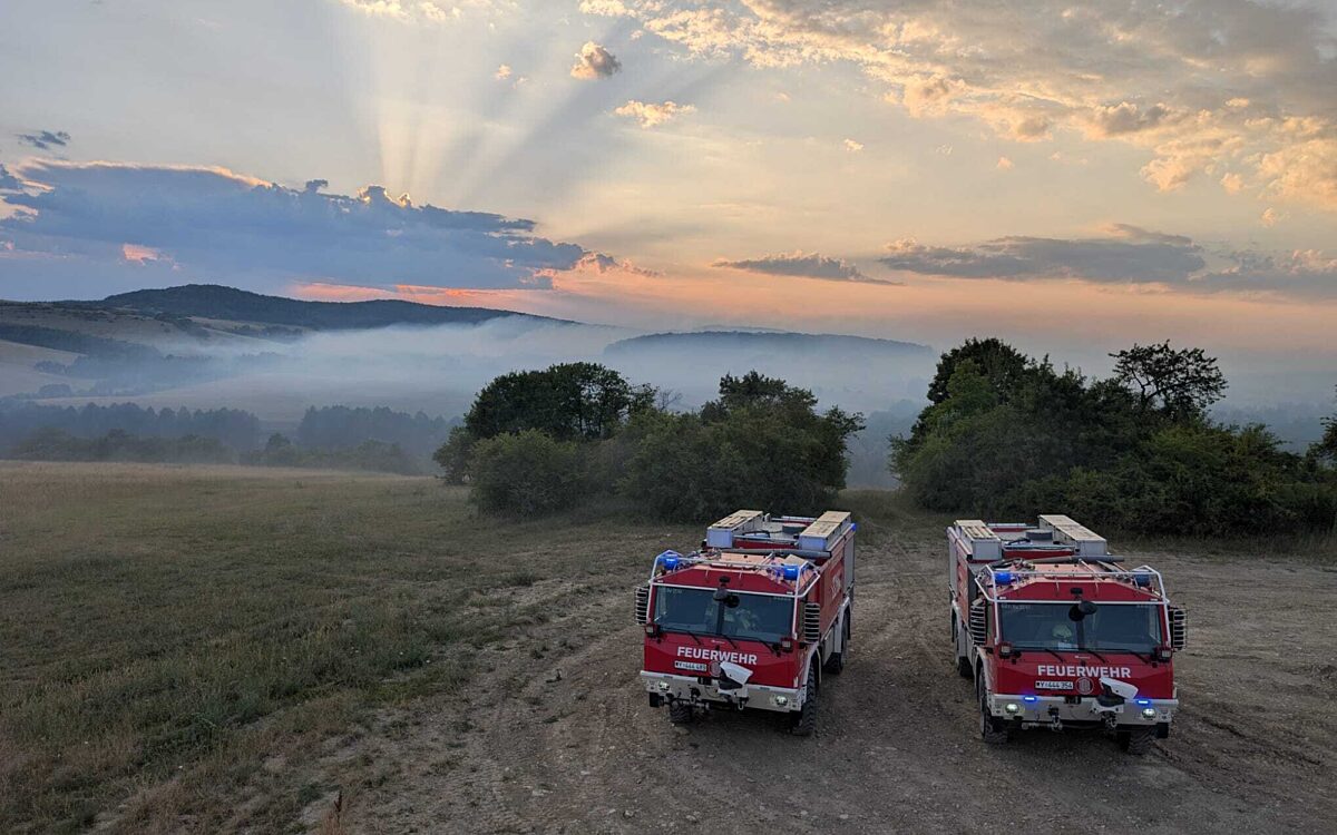 IMG 20250702 WA0033 IMG 20250702 WA0033