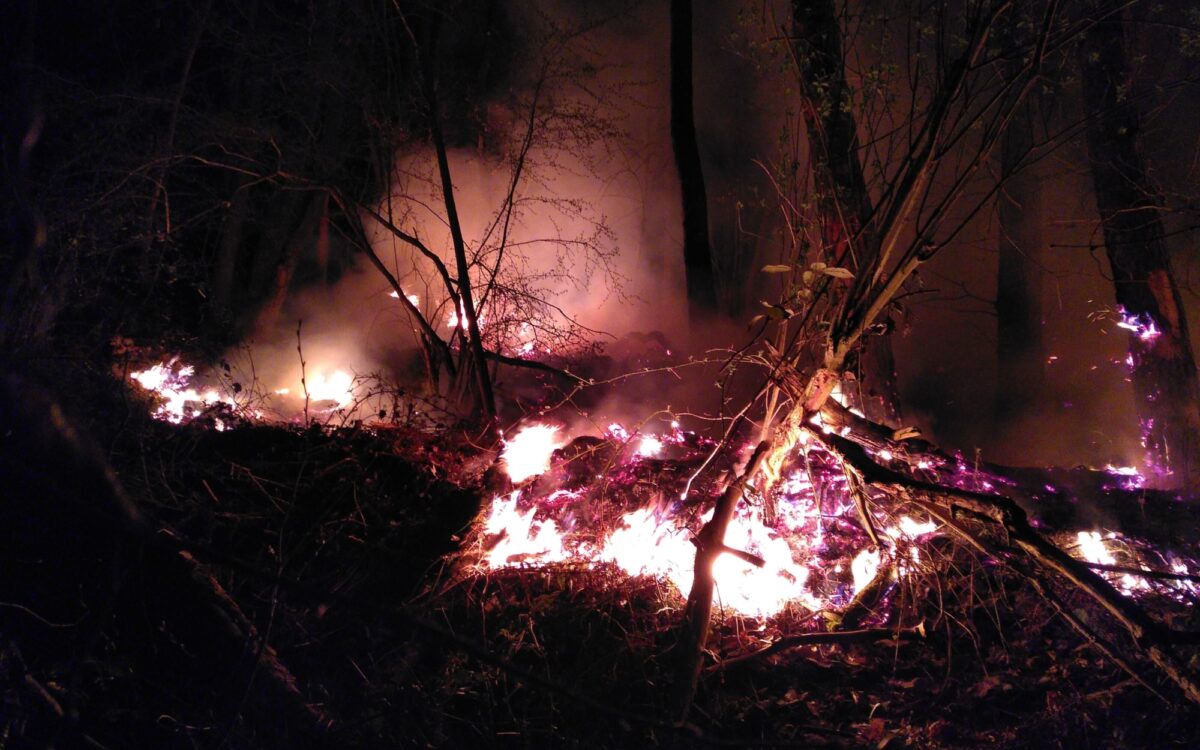 Waldbrand in Lohr Waldbrand in Lohr