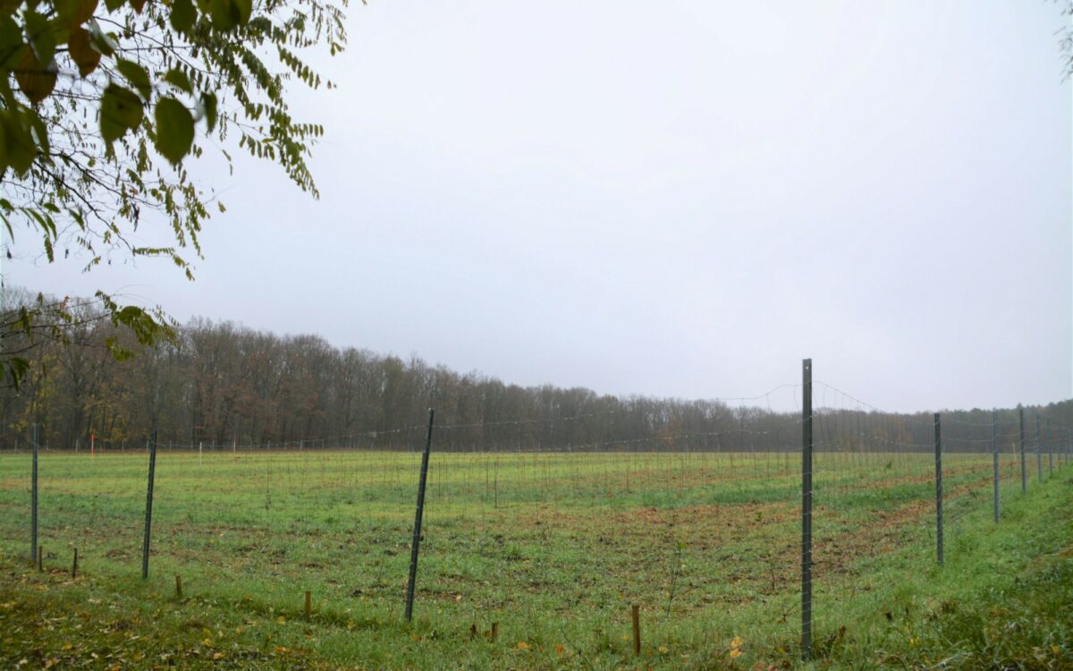 Klimawald Karlstadt zu sehen ist eine Wiese und ein Zaun darum Klimawald Karlstadt zu sehen ist eine Wiese und ein Zaun darum