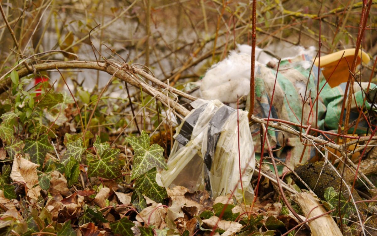 Müll im Gebüsch Müll im Gebüsch