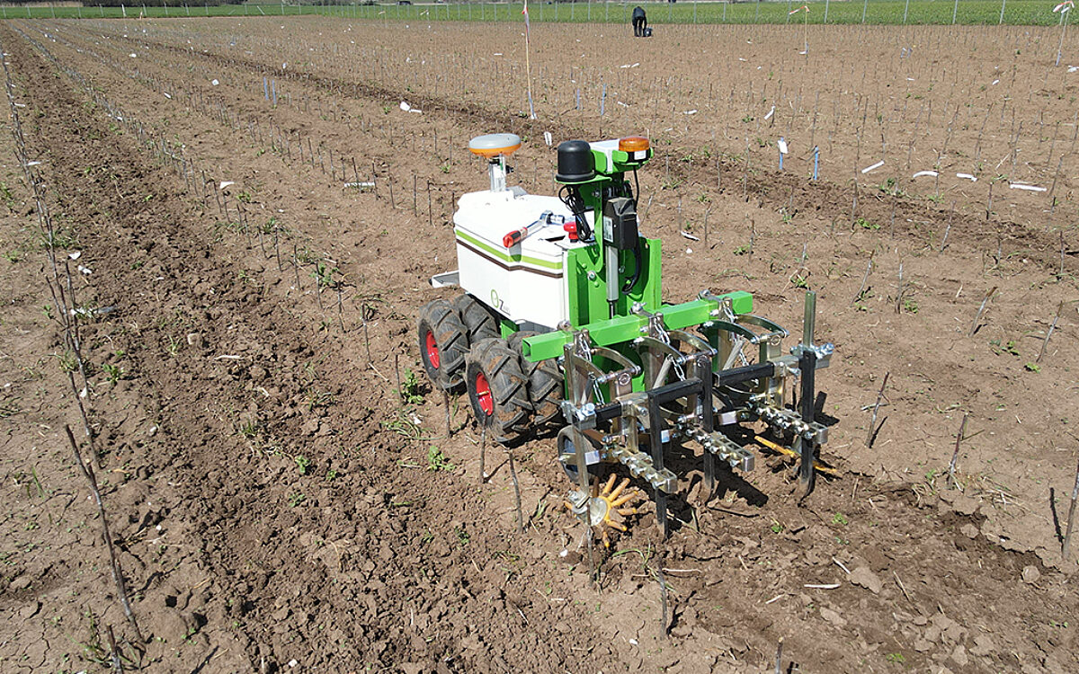 Roboter im Einsatz um Unkraut zu bekaempfen Roboter im Einsatz um Unkraut zu bekaempfen