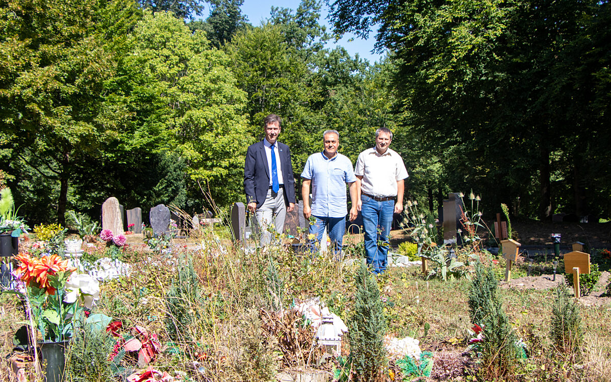 Sarglose Bestattungen Waldfriedhof 1 Sarglose Bestattungen Waldfriedhof 1