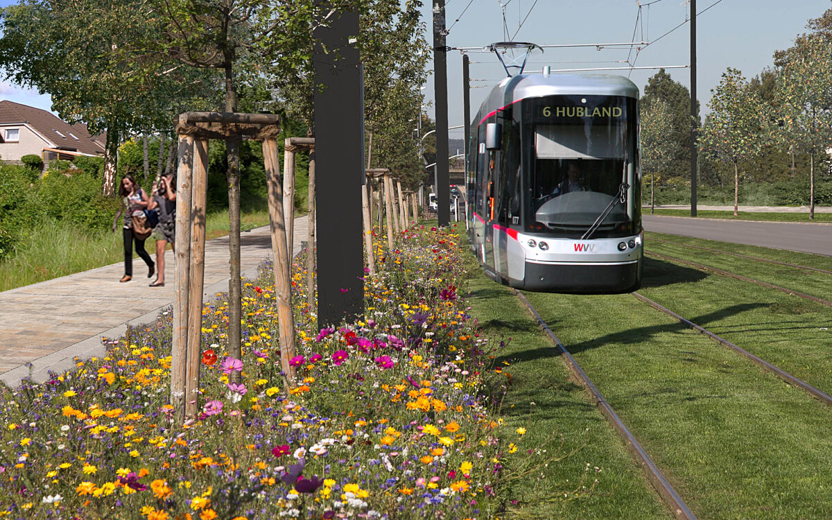 Visualisierung Linie 6