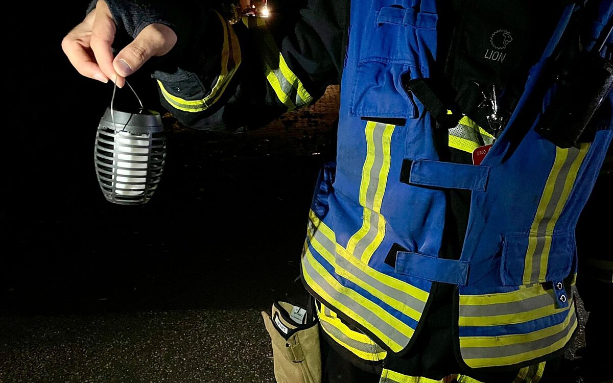 Volkach Einsatz Waschbaer 2 Volkach Einsatz Waschbaer 2