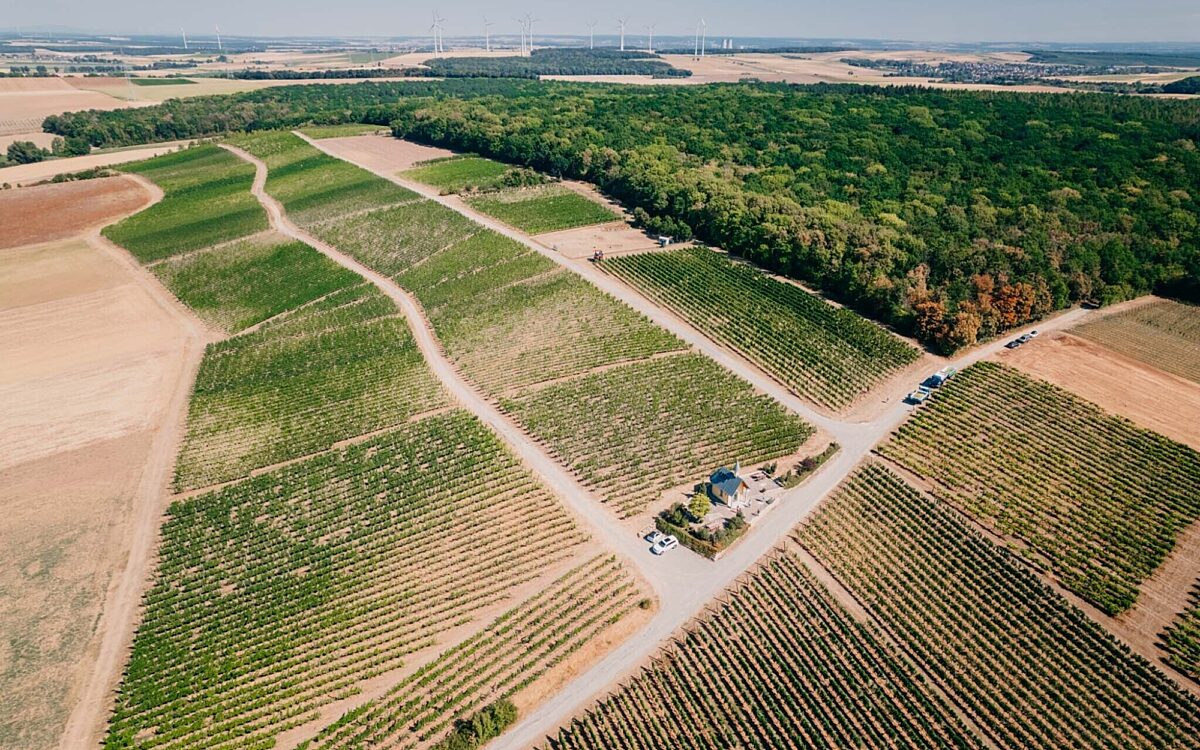 Weinberg von oben in Bergtheim an der Kapelle Weinberg von oben in Bergtheim an der Kapelle