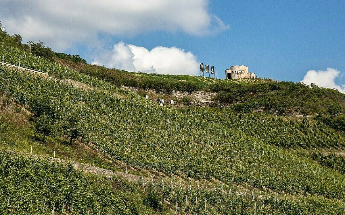 Weinberge bei Thuengersheim Antje Seeling NEU Weinberge bei Thuengersheim Antje Seeling NEU
