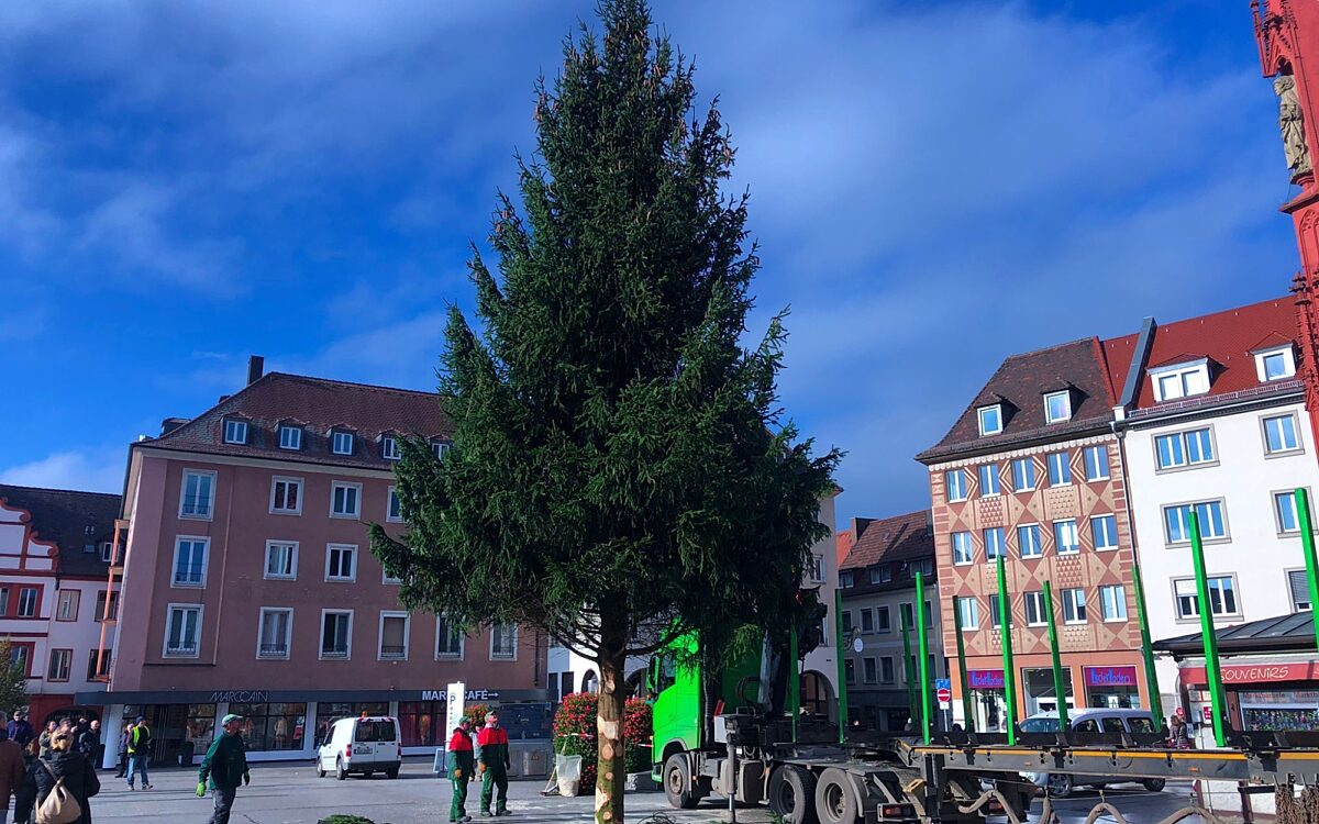 Weihnachtsbaum Unterer Markt Weihnachtsbaum Unterer Markt