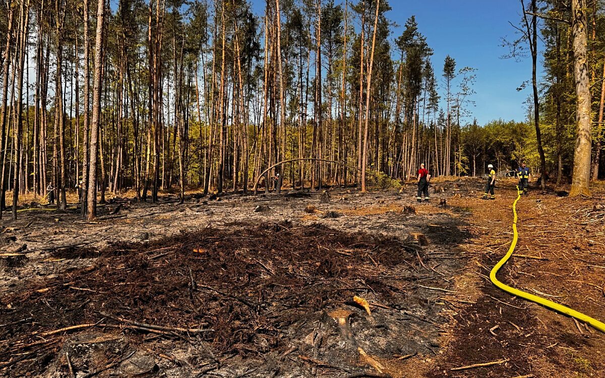 300424 Waldbrand MSP 300424 Waldbrand MSP