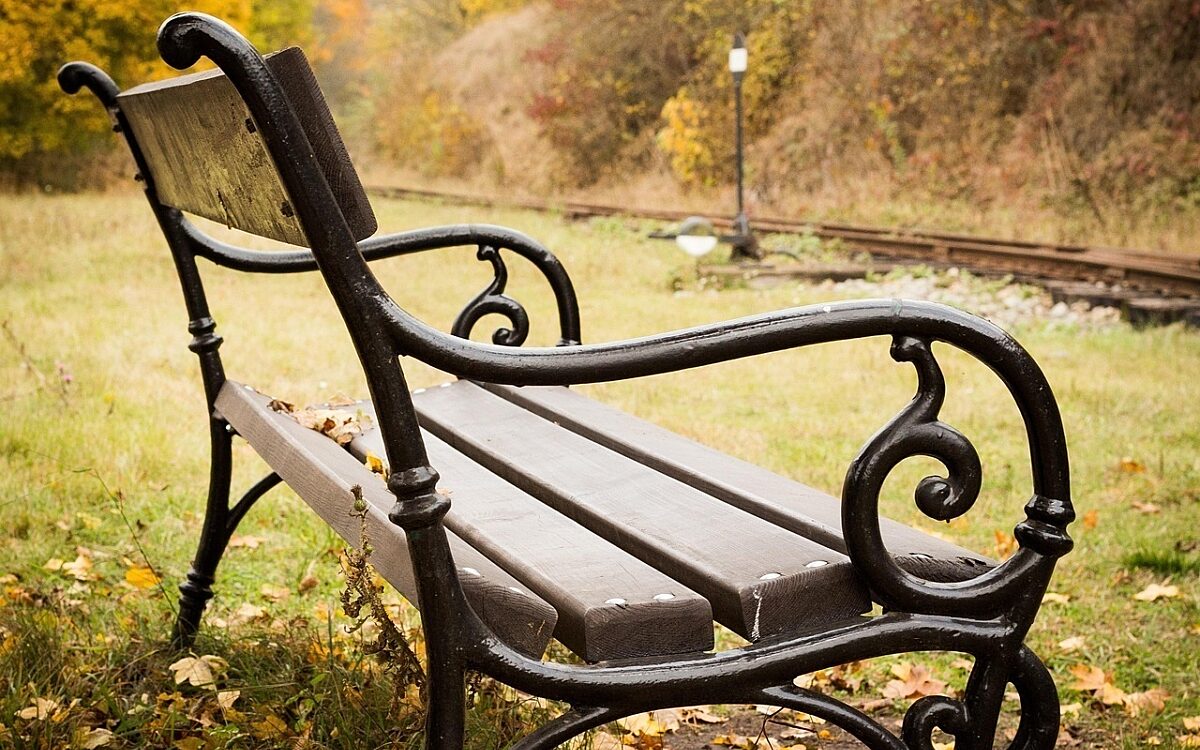 Sitzbank auf einer Wiese Sitzbank auf einer Wiese