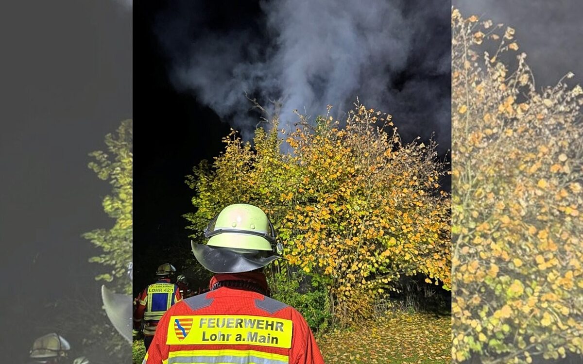 Rauch steigt aus einer Baumkrone auf