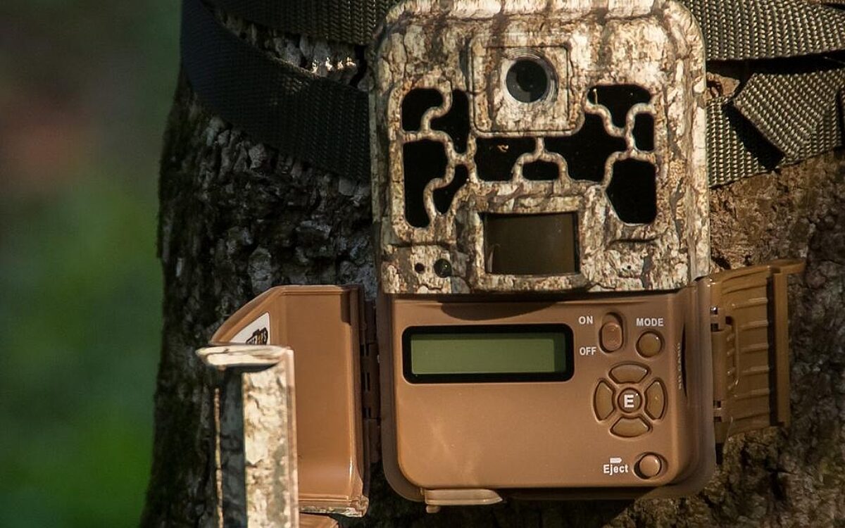 Wildkamera Wildkamera