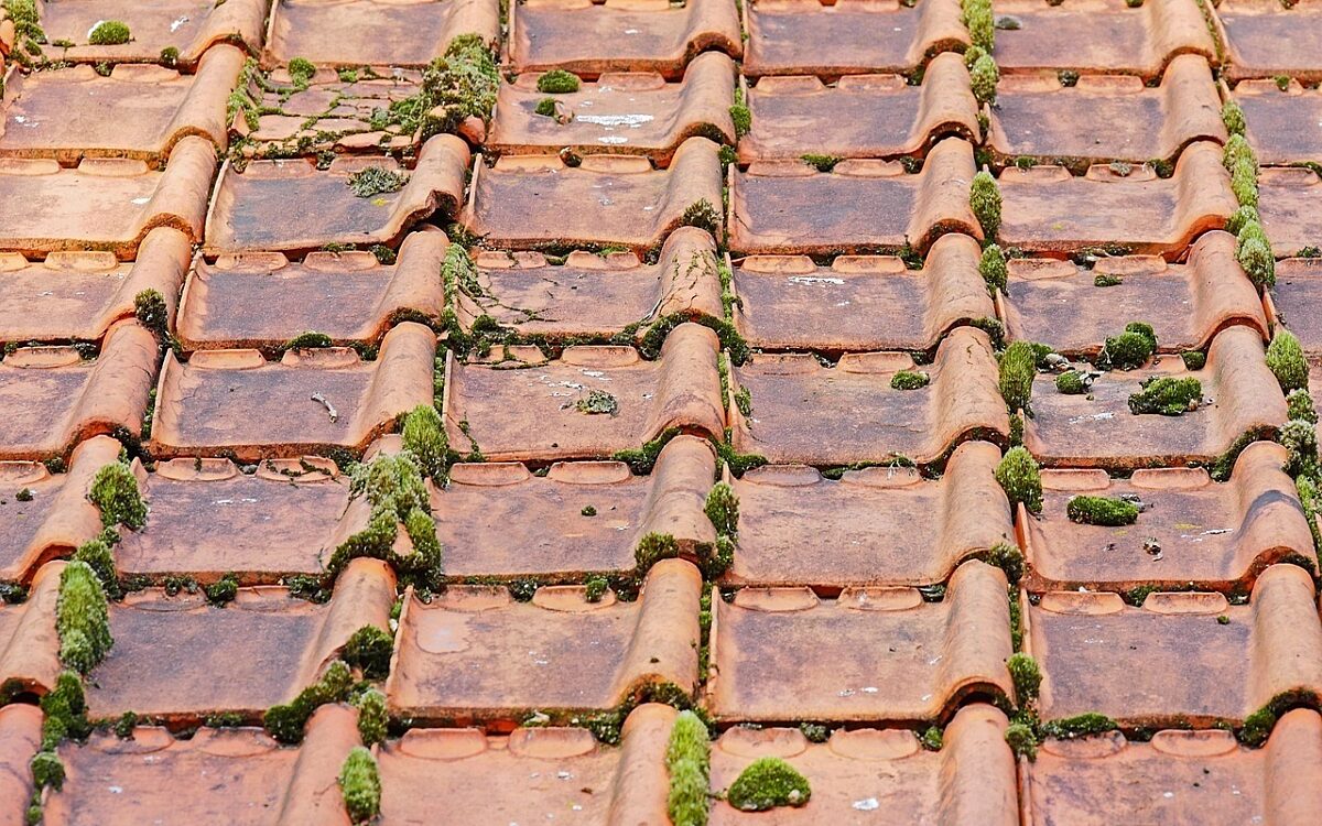 Rote Dachziegel, teilweise mit Moos bewachsen Rote Dachziegel, teilweise mit Moos bewachsen