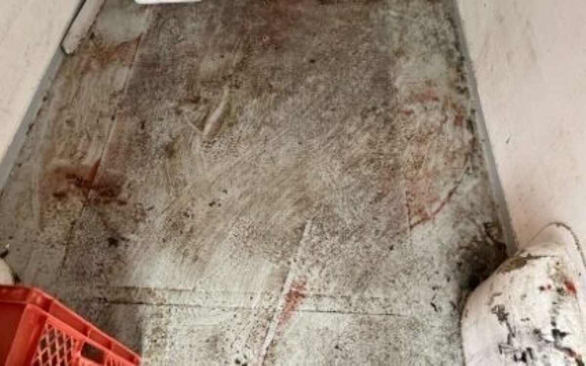 Die verdreckte Ladefläche in einem Sprinter Die verdreckte Ladefläche in einem Sprinter