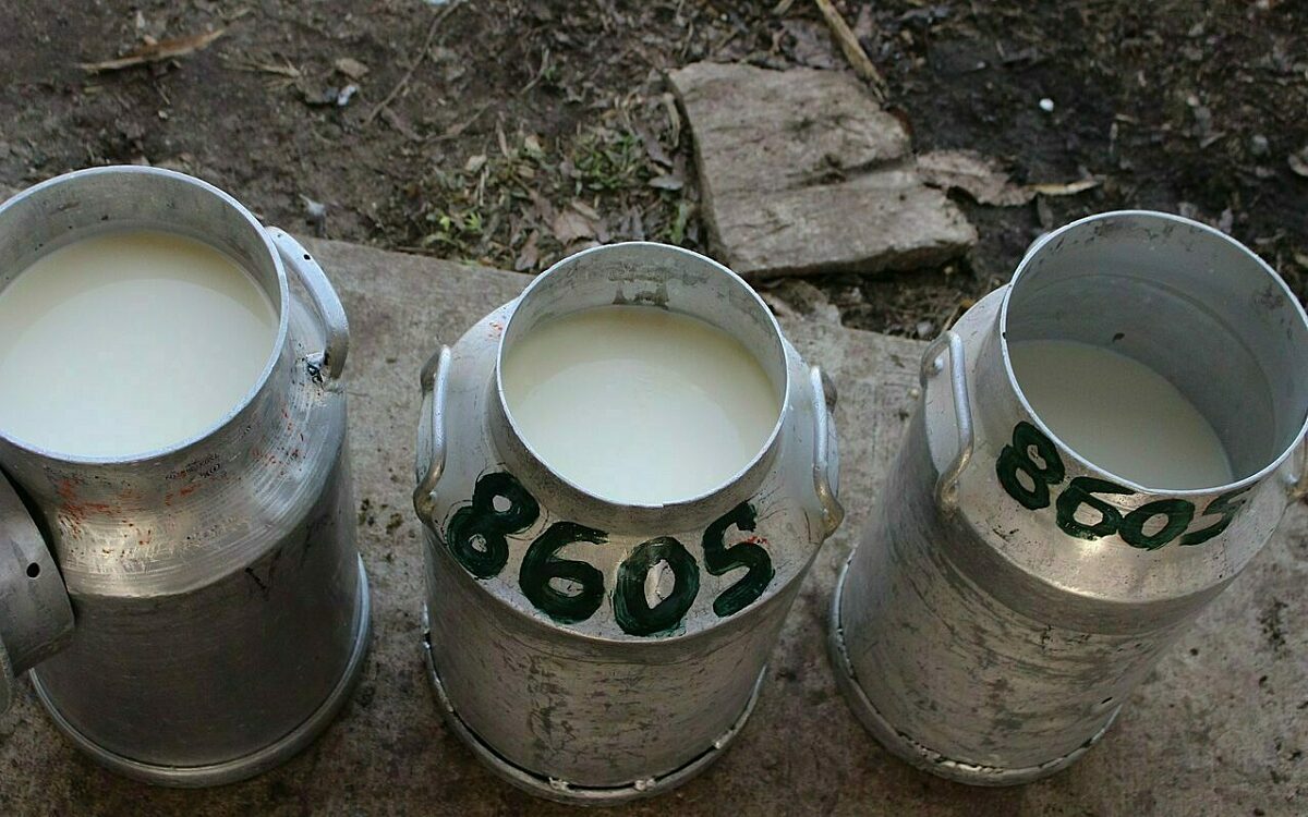 Drei Milchkannen nebeneinander Drei Milchkannen nebeneinander