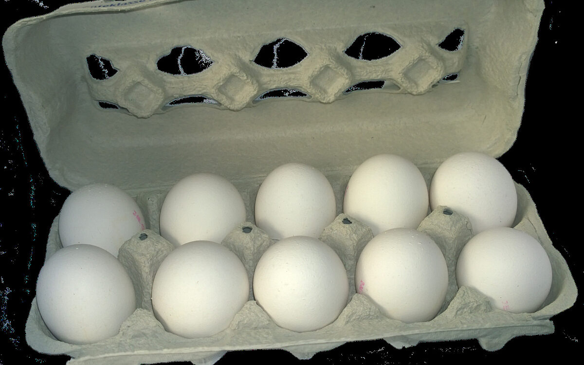 Ein Eierkarton voller Eier Ein Eierkarton voller Eier
