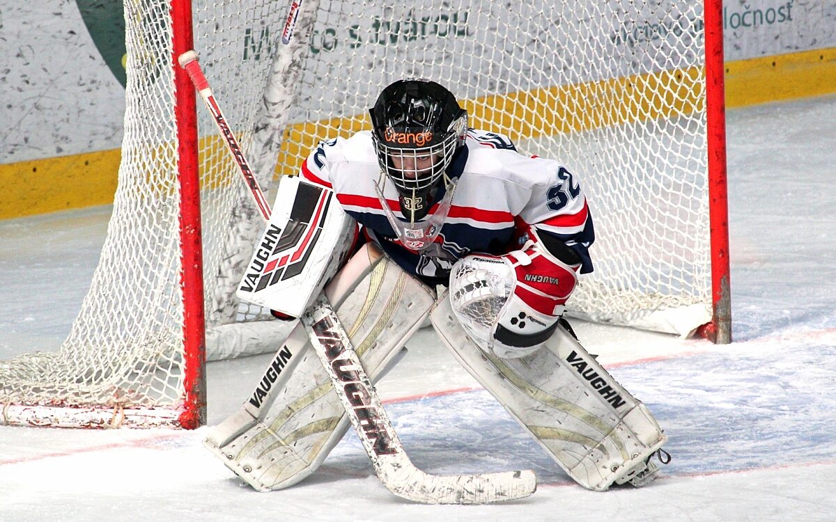 Ein Eishockeyschläger und ein Puck. Ganz klar: Hier geht es um Eishockey Eishockey