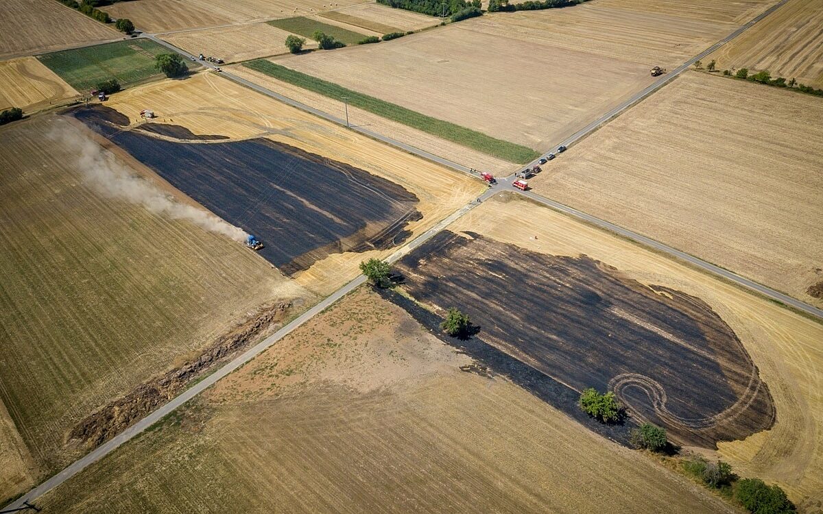 Ein Brand bei Zellingen auf einem Feld Ein Brand bei Zellingen auf einem Feld