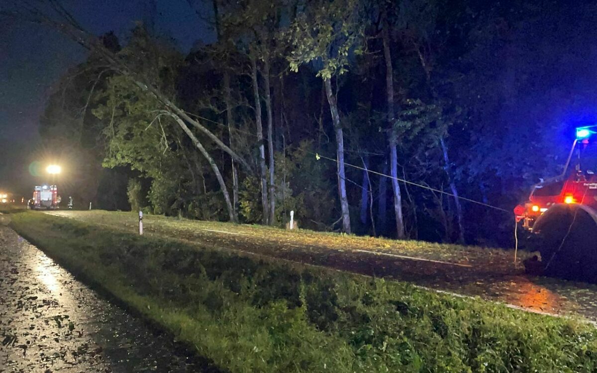 Ein Feuerwehreinsatz in Volkach Ein Feuerwehreinsatz in Volkach