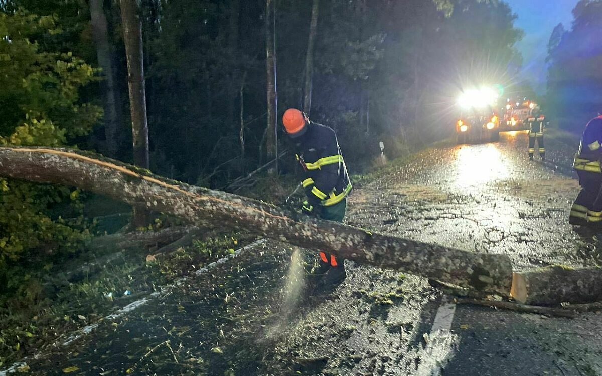 Ein Feuerwehrmann zersägt einen Baum Ein Feuerwehrmann zersägt einen Baum
