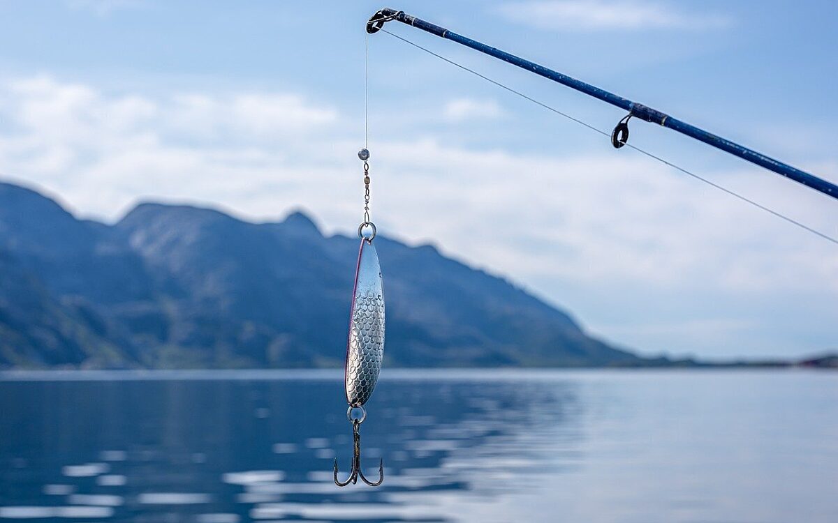Symbolbild Fisch und Angel Symbolbild Fisch und Angel