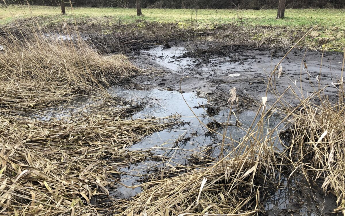 fuchsstaedter bach nach guelle auslauf fuchsstaedter bach nach guelle auslauf