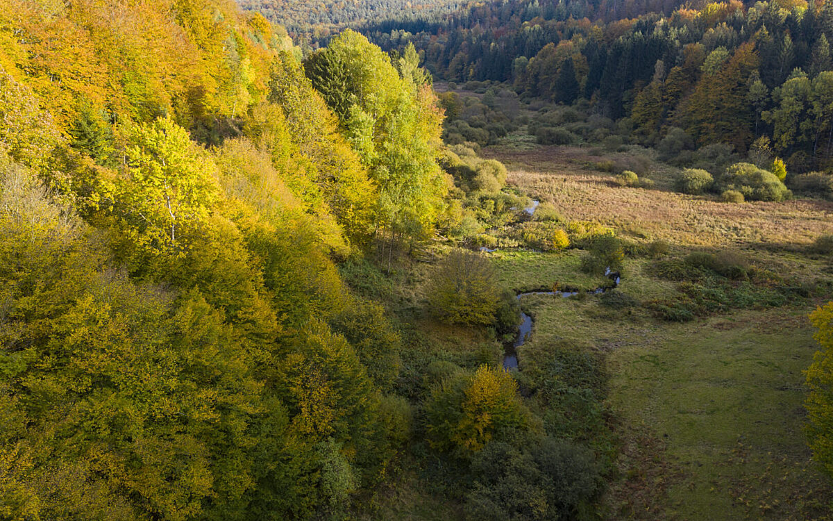 Ein Blick in das Hafenlohrtal Ein Blick in das Hafenlohrtal