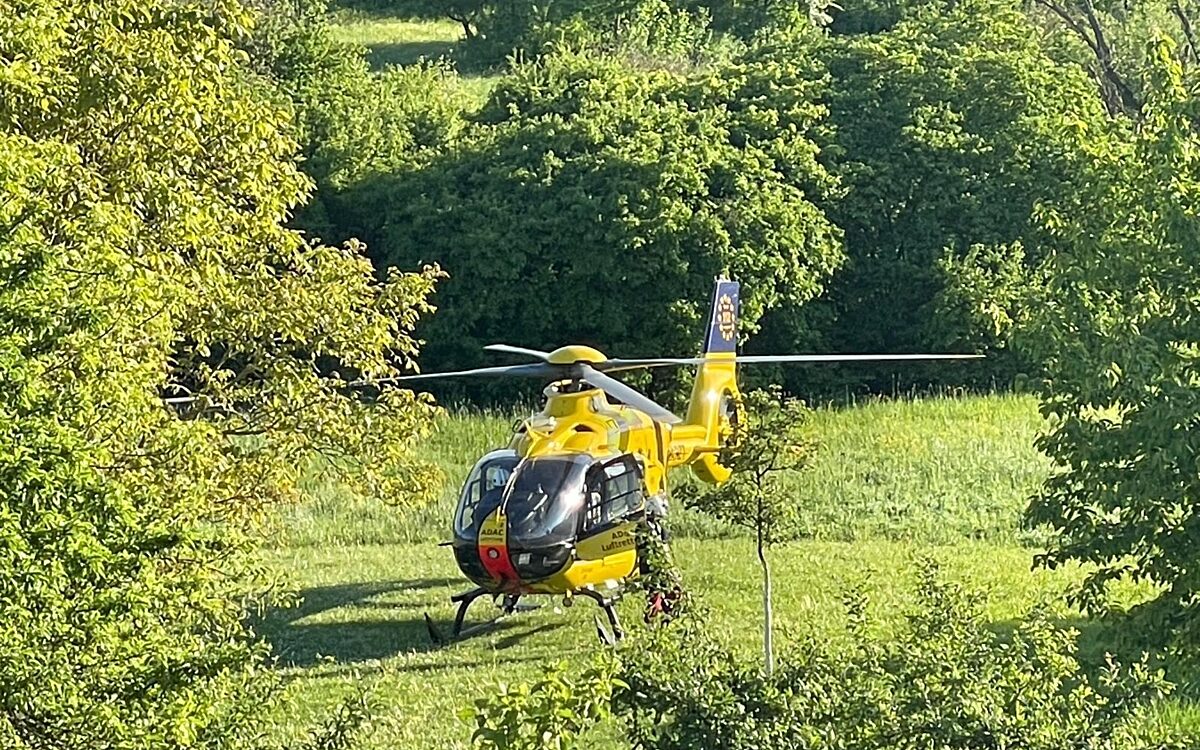 Heli heuchelhof Heli heuchelhof