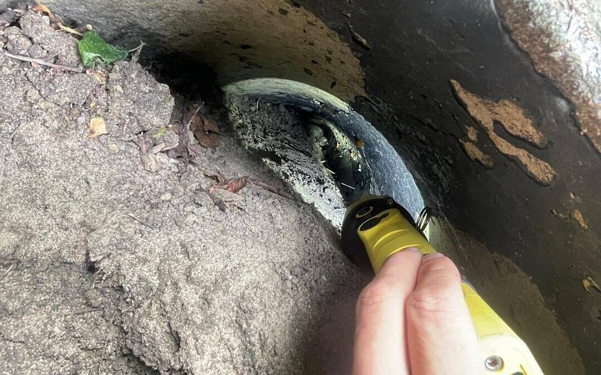 Große Rettungsaktion für eine kleine Katze in Gebrunn Große Rettungsaktion für eine kleine Katze in Gebrunn