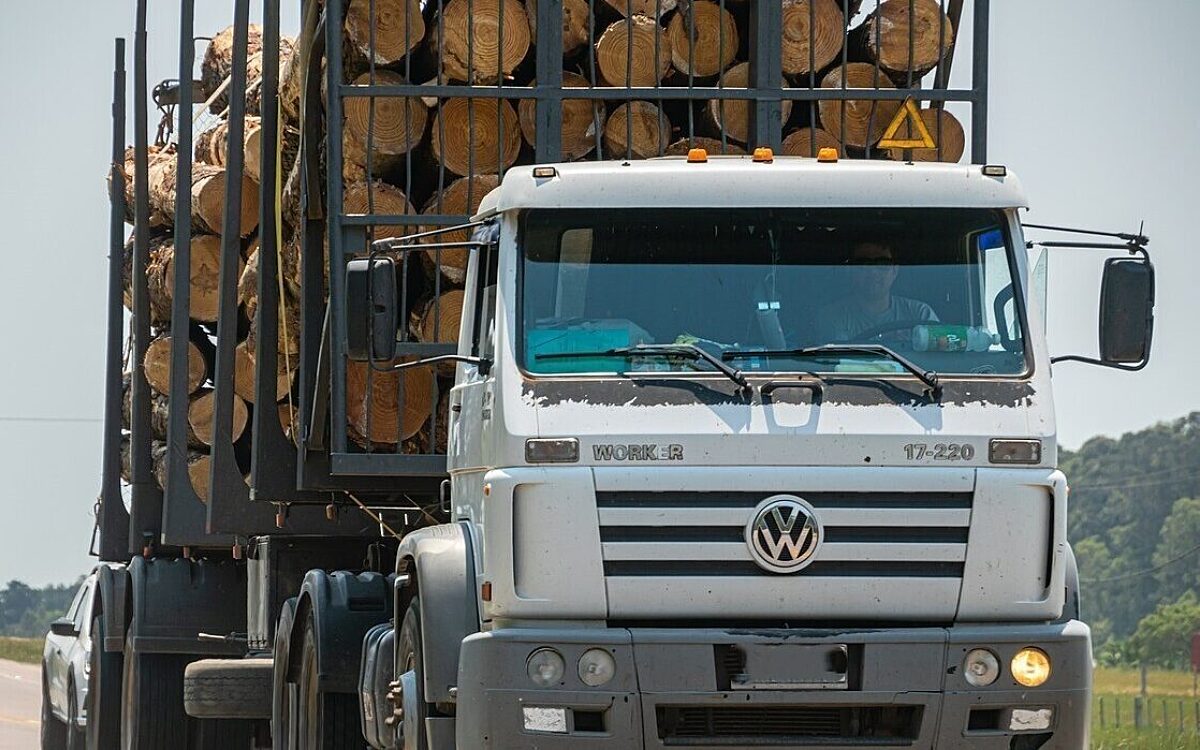 Ein LKW hat Baumstämme geladen Ein LKW hat Baumstämme geladen