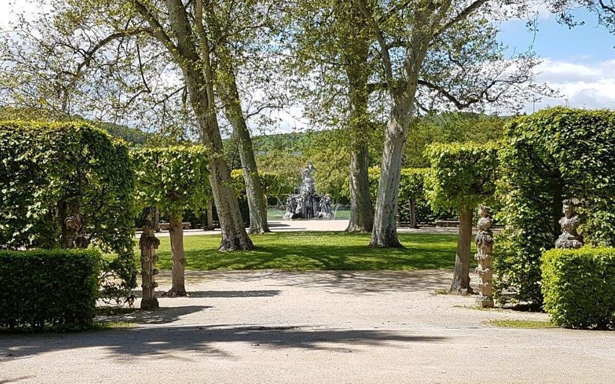 Ein Weg und schön geschnittene Büsche im Rokkokogarten Veitshöchheim Ein Weg und schön geschnittene Büsche im Rokkokogarten Veitshöchheim