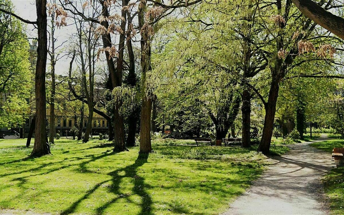Ein Park in Würzburg hinter dem Juliusspital Ein Park in Würzburg hinter dem Juliusspital
