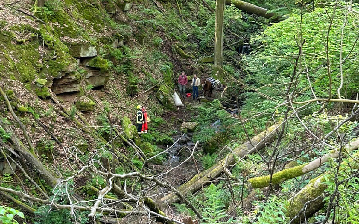 Das Pferd steht mit Helfern in der rund 15 tiefen Schlucht Das Pferd steht mit Helfern in der rund 15 tiefen Schlucht