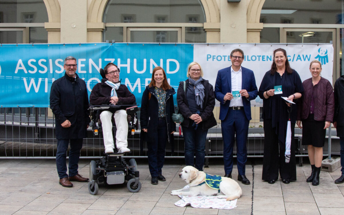 Pfotenpiloten Pfotenpiloten