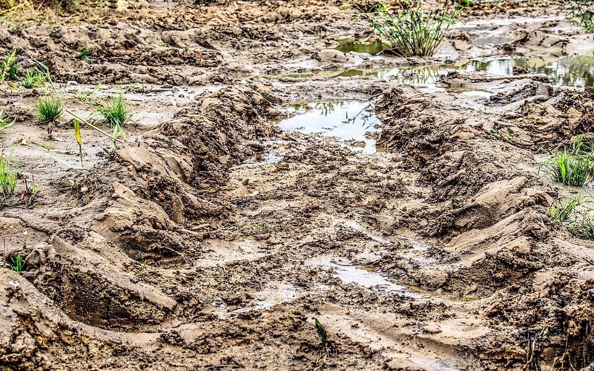 Eine Reifenspur im Matsch Eine Reifenspur im Matsch