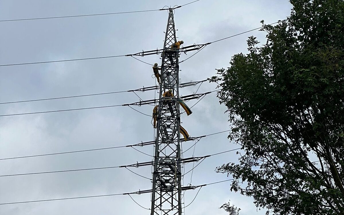 Kletterer sind in luftiger Höhe mit Reinigungsarbeiten an einem Strommasten bei Veitshöchheim beschäftigt. Kletterer sind in luftiger Höhe mit Reinigungsarbeiten an einem Strommasten bei Veitshöchheim beschäftigt.