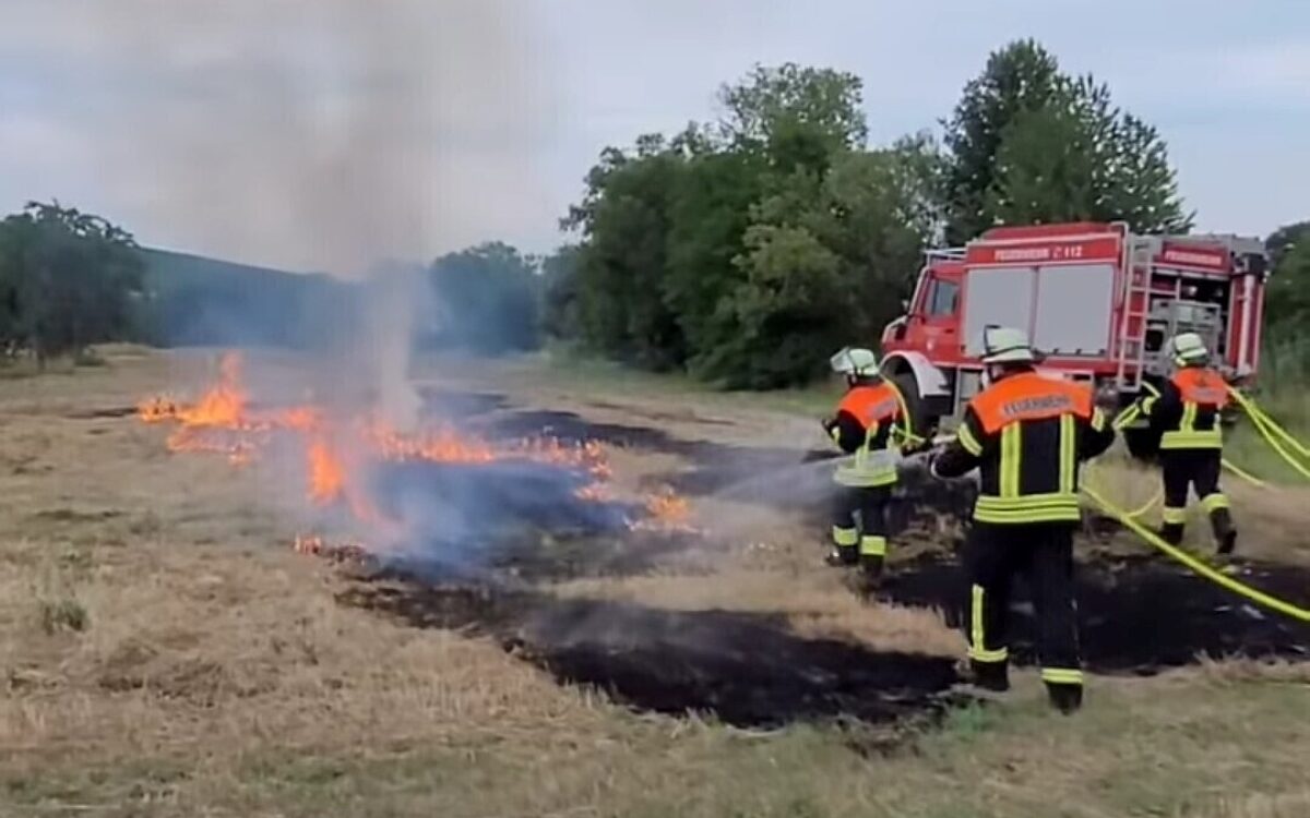 Feuerwehrleute löschen ein brennendes Feld. Das Bild stammt von einer Übung Feuerwehrleute löschen ein brennendes Feld. Das Bild stammt von einer Übung