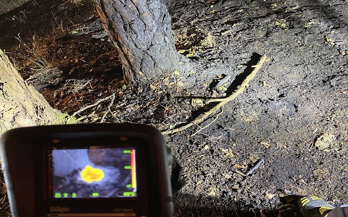 Die Feuerwehr im Einsatz bei einem Waldbrand zwischen Sendelbach und Pflochsbach Die Feuerwehr im Einsatz bei einem Waldbrand zwischen Sendelbach und Pflochsbach