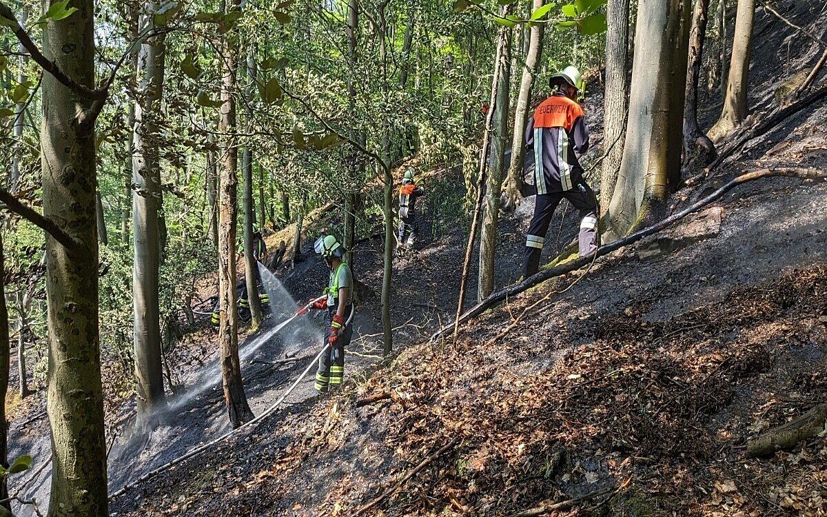 Die Feuerwehr im Einsatz bei einem Waldbrand zwischen Sendelbach und Pflochsbach Die Feuerwehr im Einsatz bei einem Waldbrand zwischen Sendelbach und Pflochsbach