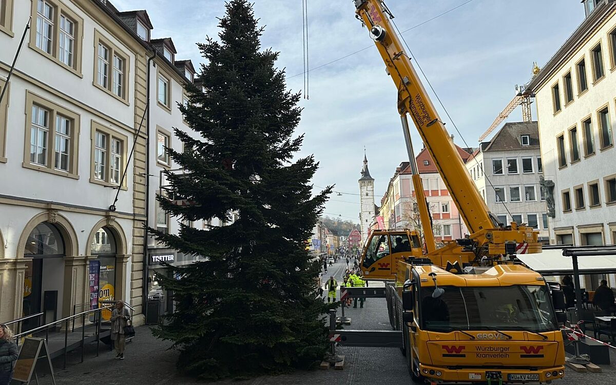 Ein Kran hat geholfen, den Weihnachtsbaum vor dem Würzburger Dom aufzustellen