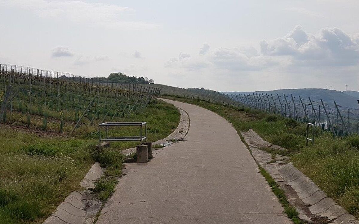 Ein betonierter Weinbergweg, links und rechts sind Weinreben Ein betonierter Weinbergweg, links und rechts sind Weinreben